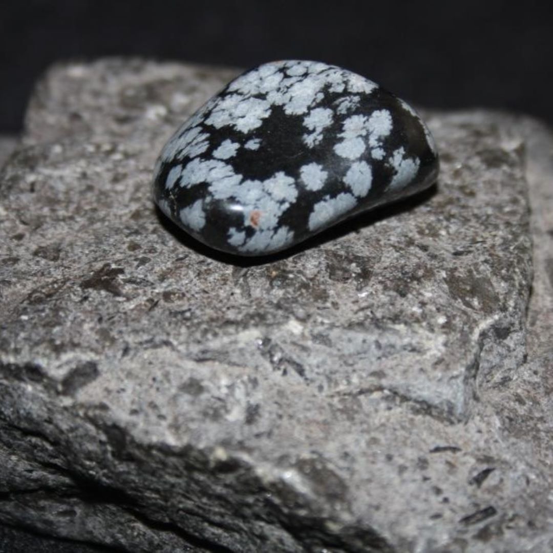 schneeflockenobsidian-trommelstein-2 Schneeflockenobsidian Trommelstein