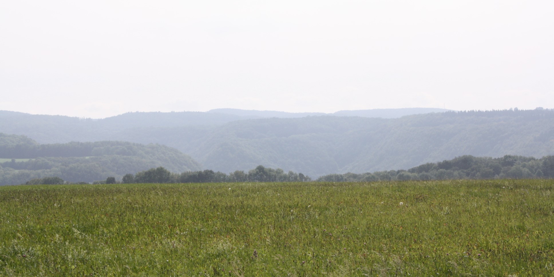Landschaft schwäbische Alb